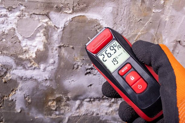 Best Commercial Mold Remediation in Centre Grove, NJ